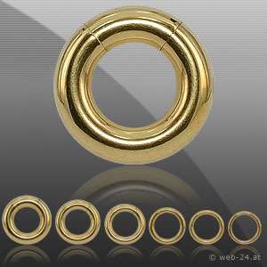 Piercing Ring Segmentring Intim Plain Steel gold plated vergoldet 