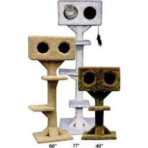   : Double Cube Cat Tree : Color OFF WHITE : Size 40 INCH: Pet Supplies