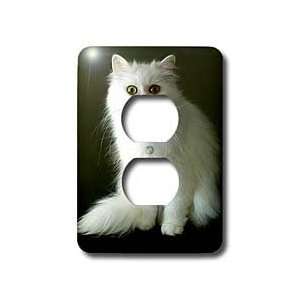 com Cats   White Persian   Light Switch Covers   2 plug outlet cover 