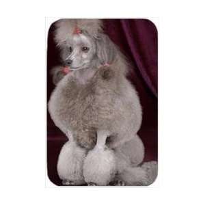  Poodle Tempered Large Cutting Board