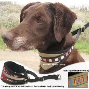  Cradle Collar   Custom Made Throat Protecting Dog Collar 