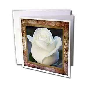Brown Designs Flowers Themes   Antique Rose Floral   Greeting Cards 12 