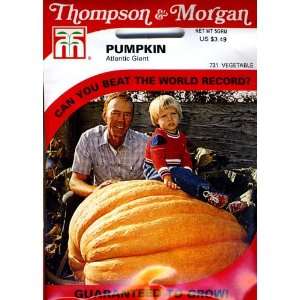   731 Pumpkin Dills Atlantic Giant Seed Packet Patio, Lawn & Garden