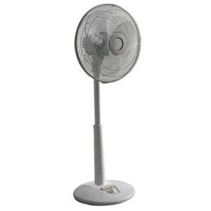    SPT SF 1467 14 Inch Oscillating Standing Fan: Home & Kitchen