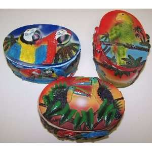  Parrot Jewelry Box Large Assorted 3pack 