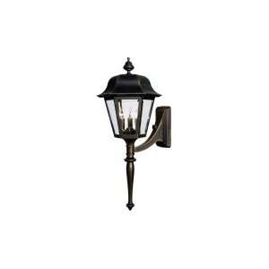   Light Outdoor Wall Light in Verde Bronze with Clear Beveled Glass